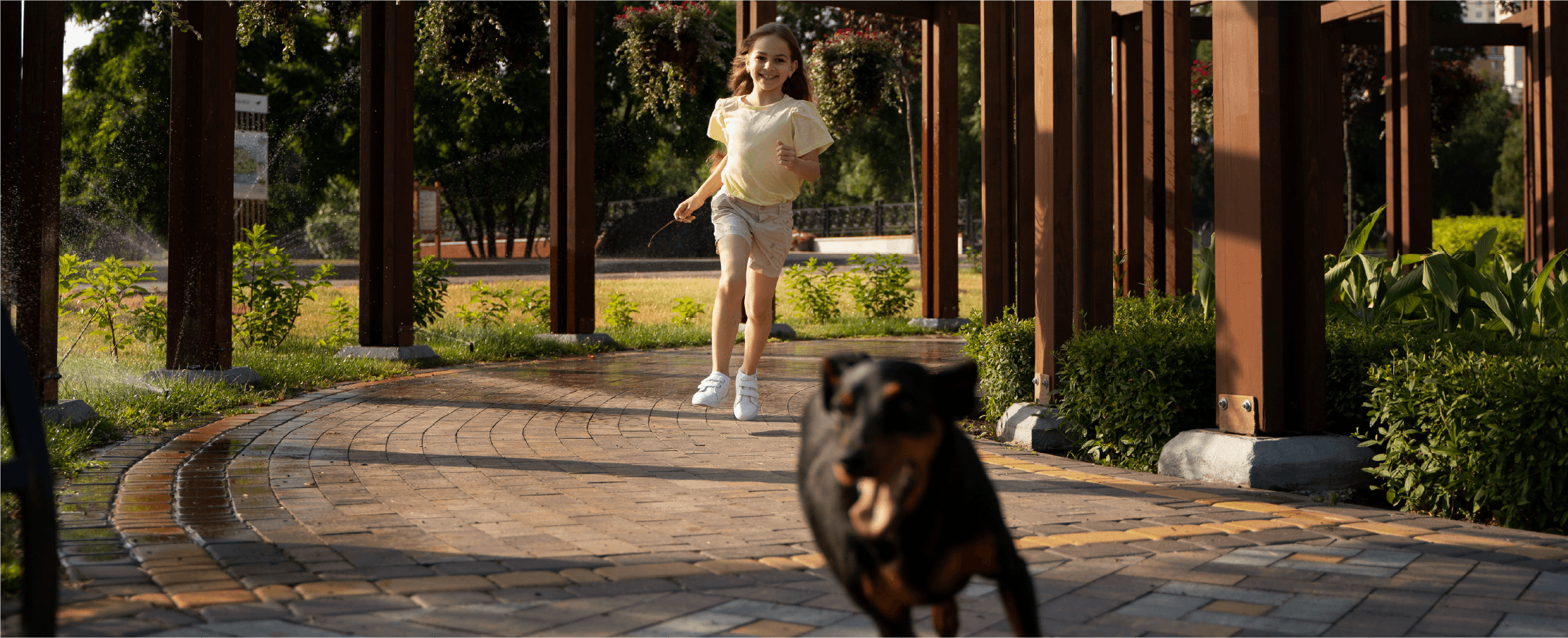 pet friendly@100x-8